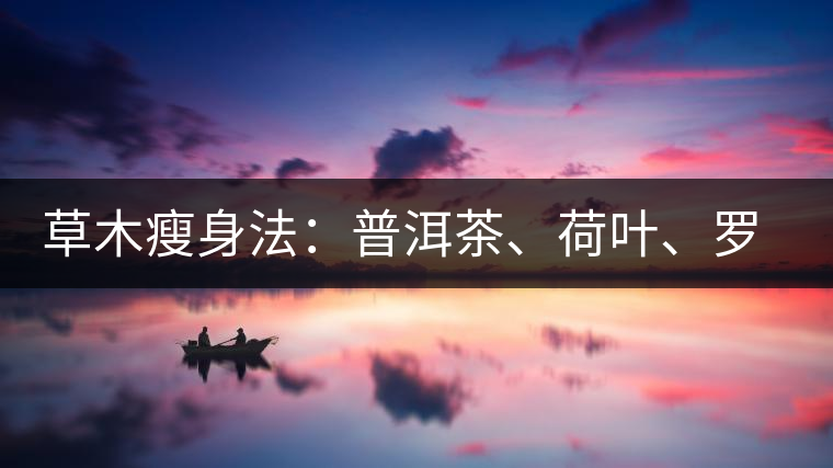 草木瘦身法:普洱茶、荷葉、羅漢果 草木瘦身法:普洱茶、荷葉、羅漢果