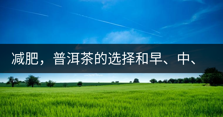 減肥,普洱茶的選擇和早、中、晚的喝法 減肥,普洱茶的選擇和早、中、晚的喝法