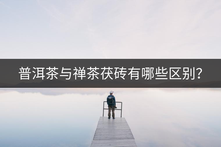 普洱茶與禪茶茯磚有哪些區(qū)別? 普洱茶與禪茶茯磚有哪些區(qū)別?