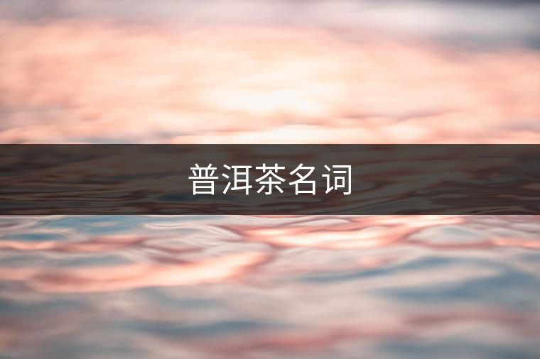 普洱茶名詞 普洱茶名詞