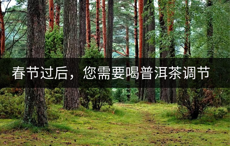 春節過后，您需要喝普洱茶調節身體