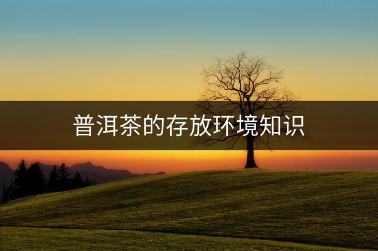 普洱茶的存放環境知識