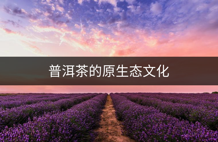 普洱茶的原生態文化