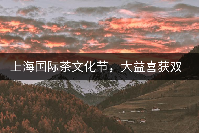 上海國際茶文化節,大益喜獲雙獎 上海國際茶文化節,大益喜獲雙獎