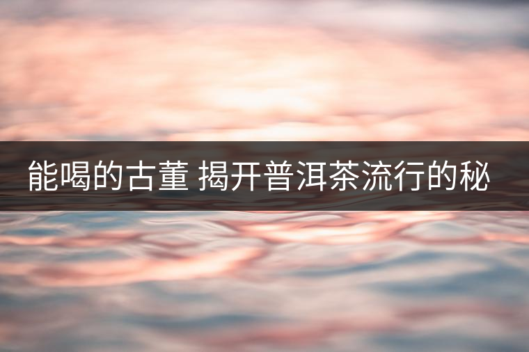 能喝的古董 揭開普洱茶流行的秘密