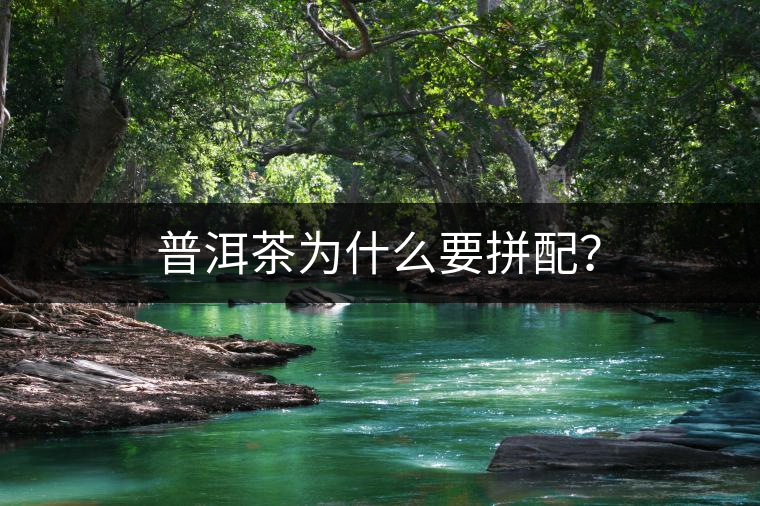 普洱茶為什么要拼配？