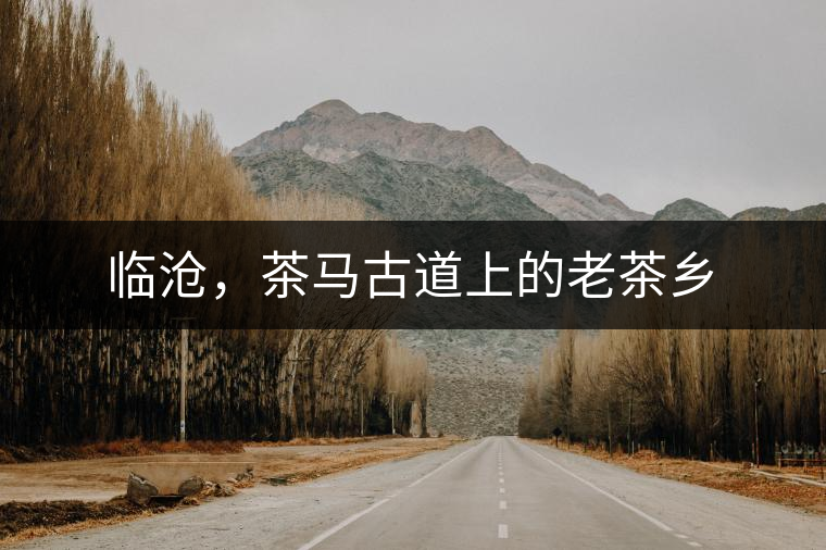 臨滄，茶馬古道上的老茶鄉