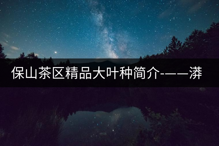 保山茶區精品大葉種簡介-——漭水種