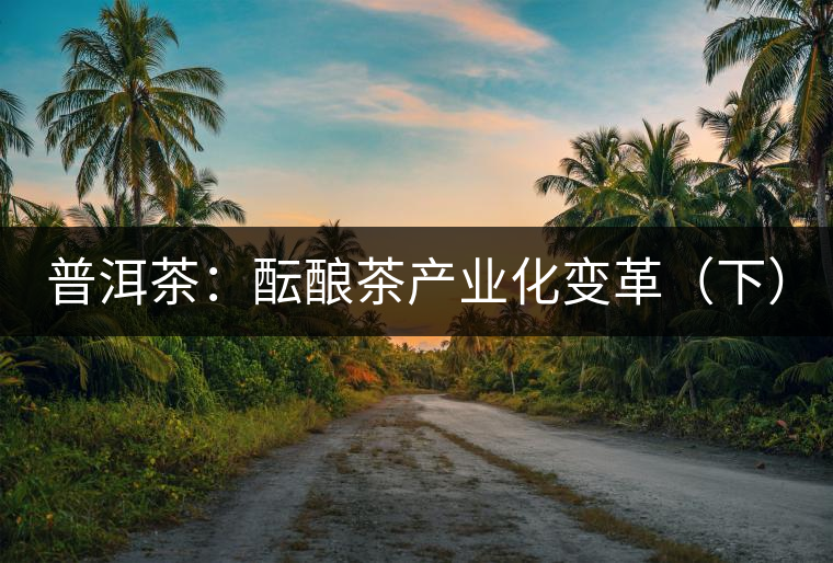 普洱茶:醞釀茶產業化變革(下) 普洱茶:醞釀茶產業化變革(下)