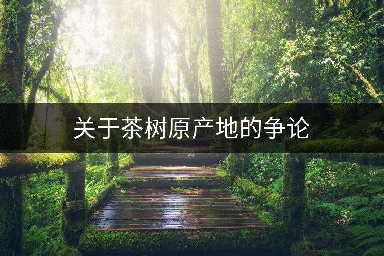 關于茶樹原產地的爭論