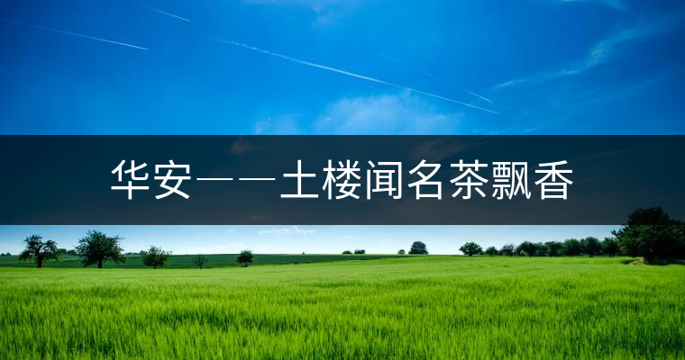 華安――土樓聞名茶飄香