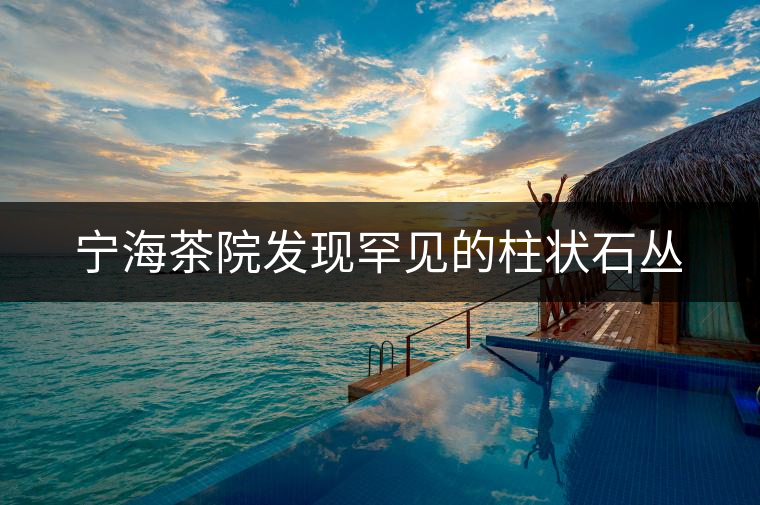 寧海茶院發(fā)現(xiàn)罕見(jiàn)的柱狀石叢 寧海茶院發(fā)現(xiàn)罕見(jiàn)的柱狀石叢