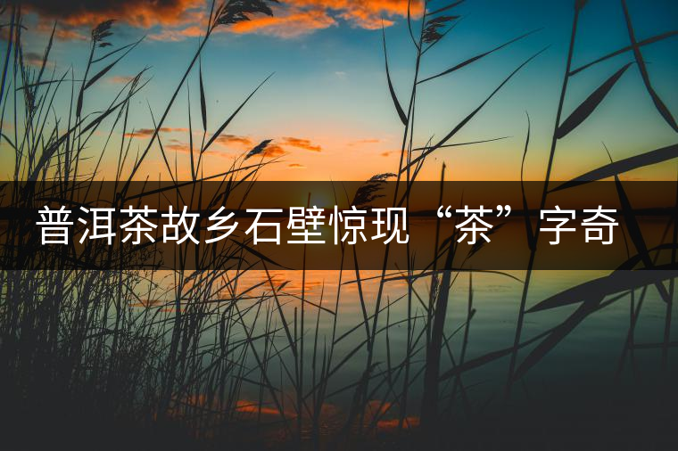 普洱茶故鄉石壁驚現“茶”字奇觀