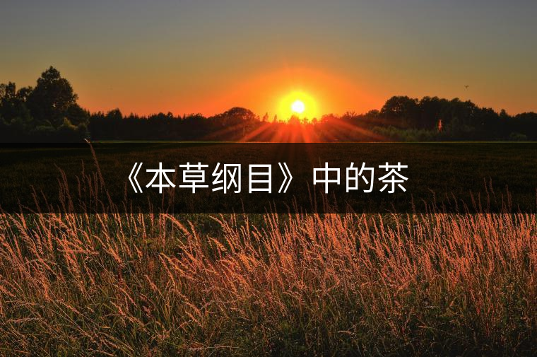 《本草綱目》中的茶 《本草綱目》中的茶