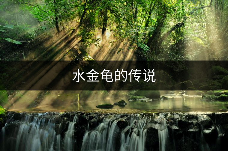 水金龜的傳說