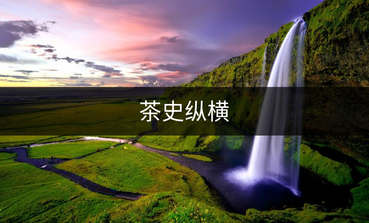 茶史縱橫 茶史縱橫