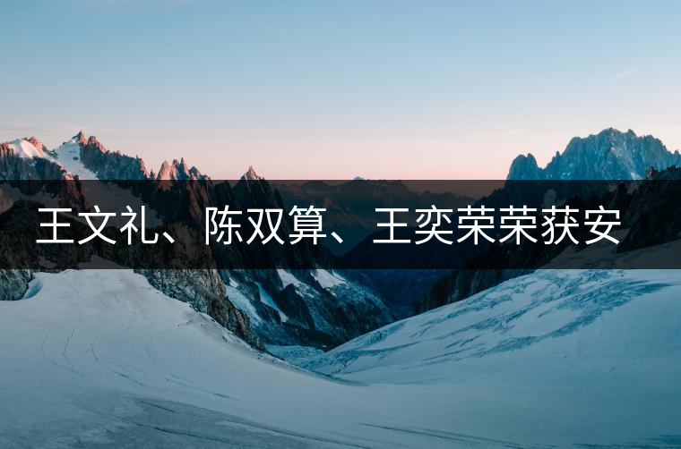 王文禮、陳雙算、王奕榮榮獲安溪茶界三杰