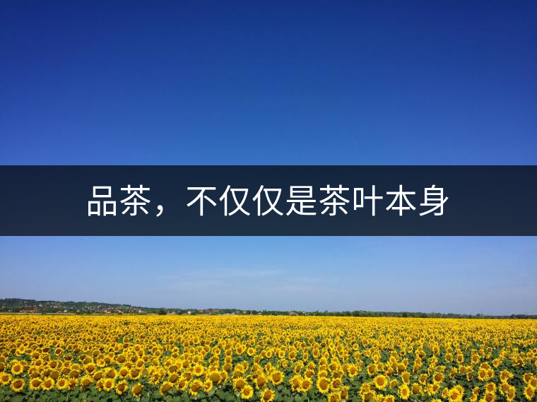 品茶，不僅僅是茶葉本身