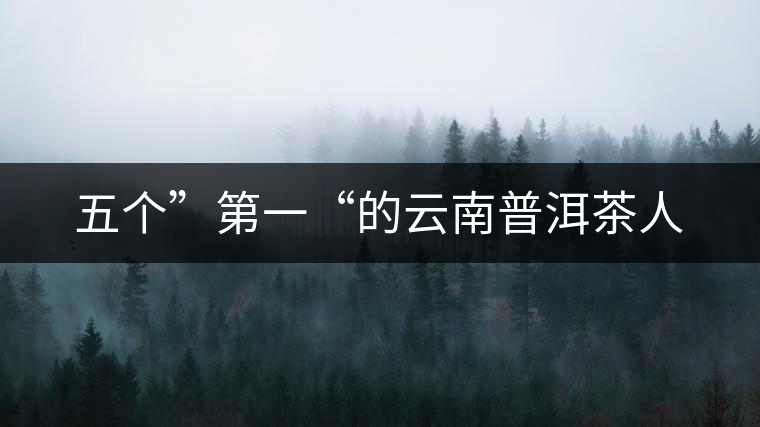 五個(gè)”第一“的云南普洱茶人