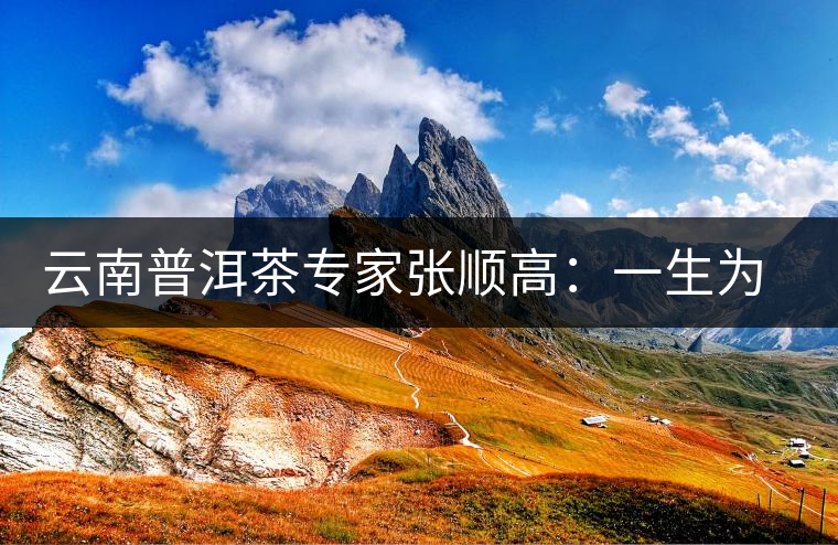 云南普洱茶專(zhuān)家張順高:一生為茶付出 云南普洱茶專(zhuān)家張順高:一生為茶付出