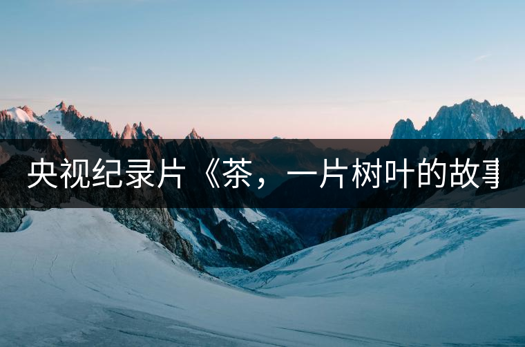 央視紀錄片《茶，一片樹葉的故事》紀錄片 昨晚開播