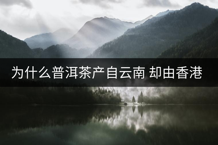 為什么普洱茶產自云南 卻由香港揚名世界