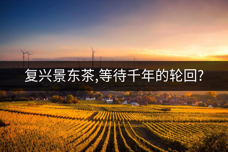 復(fù)興景東茶,等待千年的輪回? 復(fù)興景東茶,等待千年的輪回?