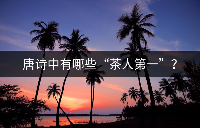唐詩中有哪些“茶人第一”? 唐詩中有哪些“茶人第一”?