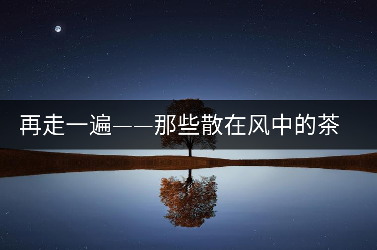 再走一遍——那些散在風中的茶馬路