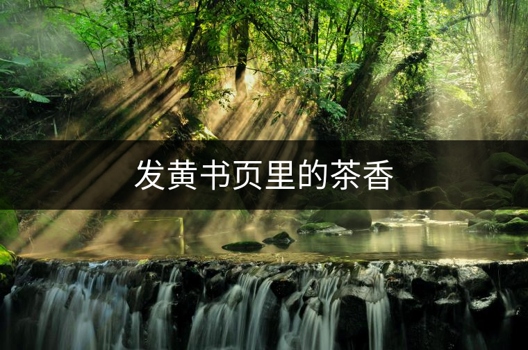 發黃書頁里的茶香