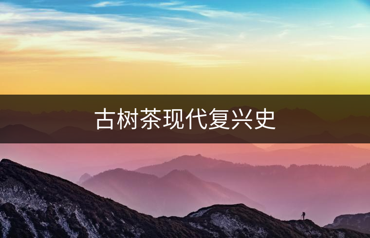 古樹茶現代復興史 古樹茶現代復興史