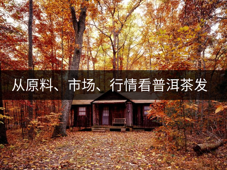 從原料、市場、行情看普洱茶發(fā)展大勢 從原料、市場、行情看普洱茶發(fā)展大勢