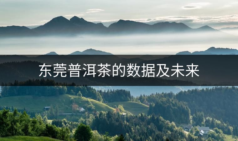 東莞普洱茶的數據及未來