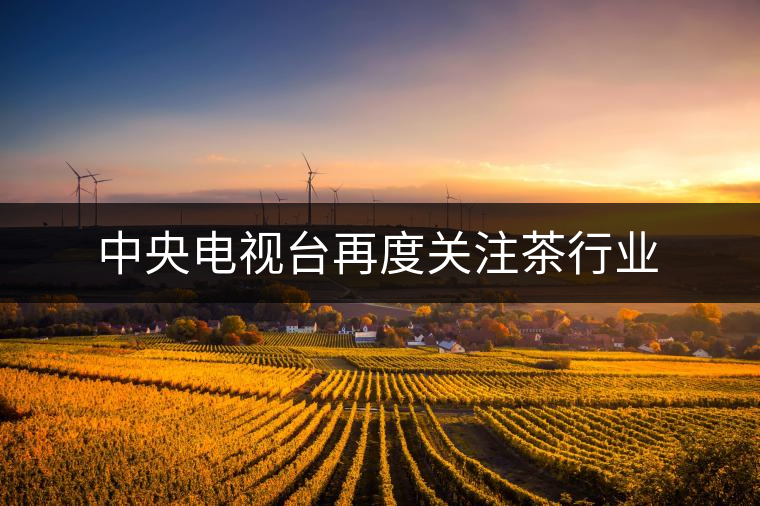中央電視臺再度關注茶行業 中央電視臺再度關注茶行業