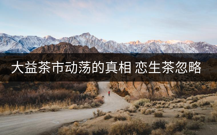 大益茶市動蕩的真相 戀生茶忽略了熟茶? 大益茶市動蕩的真相 戀生茶忽略了熟茶?