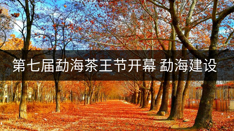 第七屆勐海茶王節開幕 勐海建設中國普洱茶第一縣