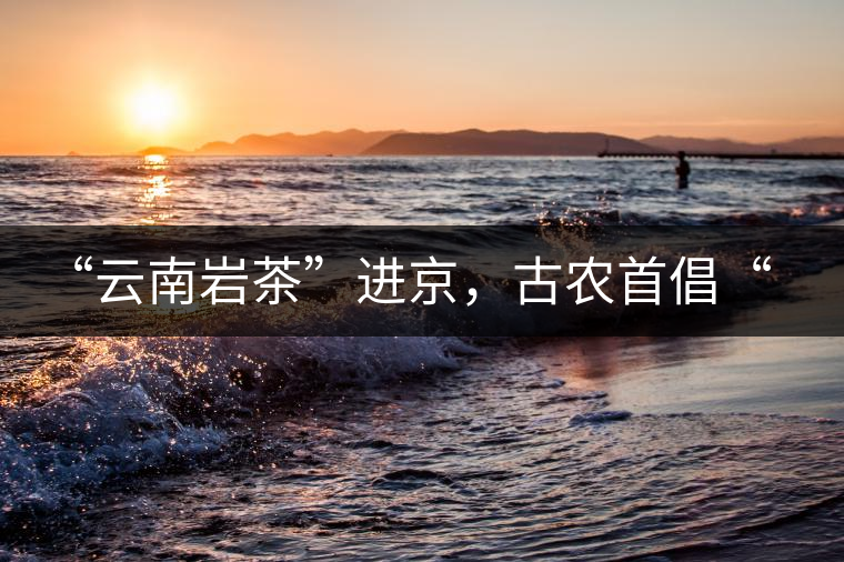 “云南巖茶”進京，古農首倡“名茶+名企”戰略