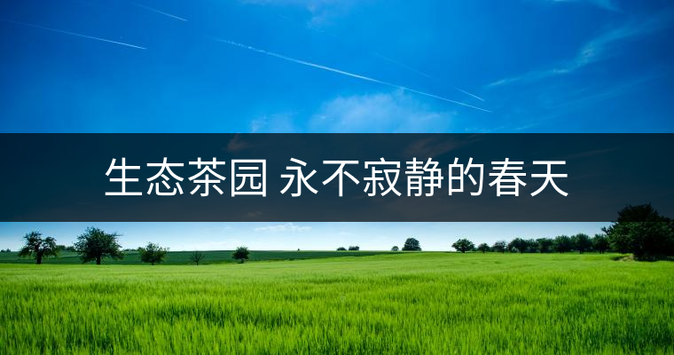 生態茶園 永不寂靜的春天 生態茶園 永不寂靜的春天