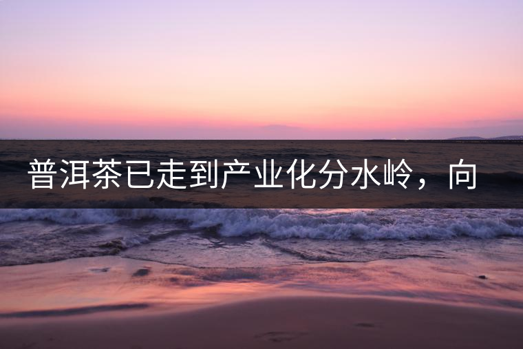 普洱茶已走到產(chǎn)業(yè)化分水嶺，向左還是向右？