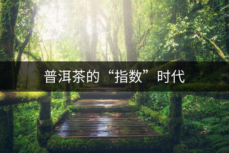 普洱茶的“指數”時代 普洱茶的“指數”時代