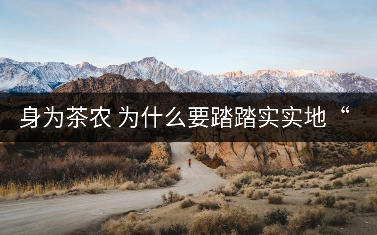 身為茶農 為什么要踏踏實實地“放毒”！