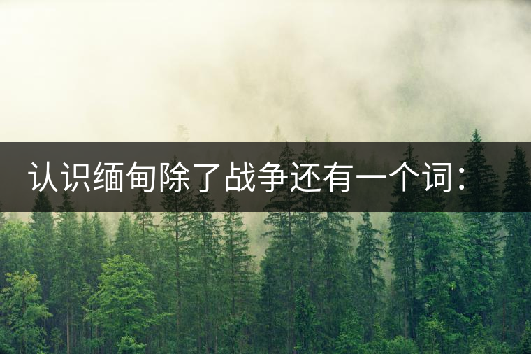 認識緬甸除了戰爭還有一個詞:茶 認識緬甸除了戰爭還有一個詞:茶