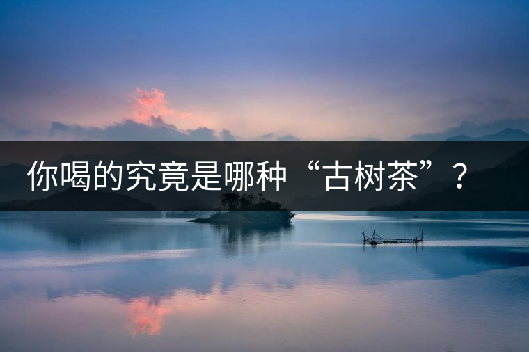 你喝的究竟是哪種“古樹茶”?(收茶必備知識) 你喝的究竟是哪種“古樹茶”?(收茶必備知識)
