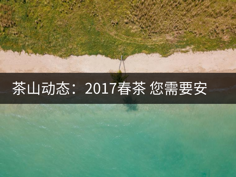 茶山動態:2017春茶 您需要安靜的等待 茶山動態:2017春茶 您需要安靜的等待
