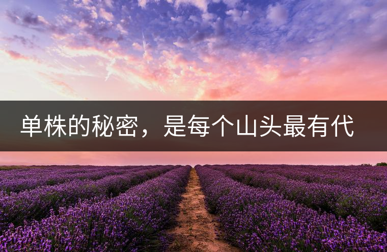 單株的秘密,是每個(gè)山頭最有代表性的味道? 單株的秘密,是每個(gè)山頭最有代表性的味道?