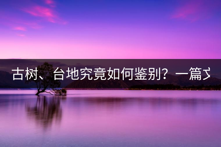 古樹、臺地究竟如何鑒別？一篇文章說透！