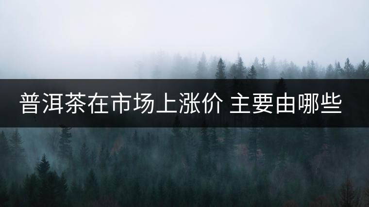 普洱茶在市場上漲價 主要由哪些因素主導？