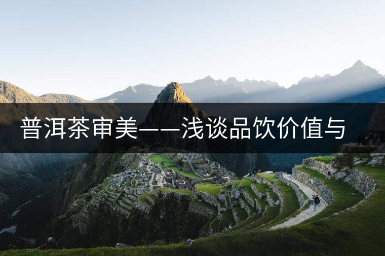 普洱茶審美——淺談品飲價(jià)值與陳化價(jià)值 普洱茶審美——淺談品飲價(jià)值與陳化價(jià)值