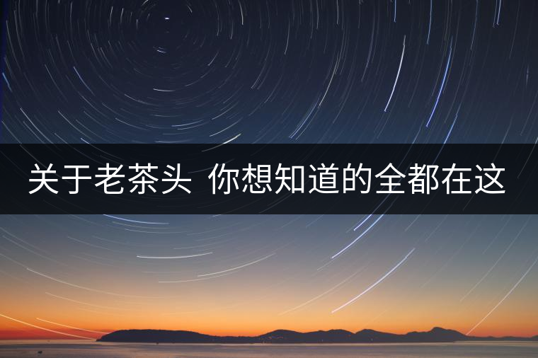 關于老茶頭  你想知道的全都在這兒啦！