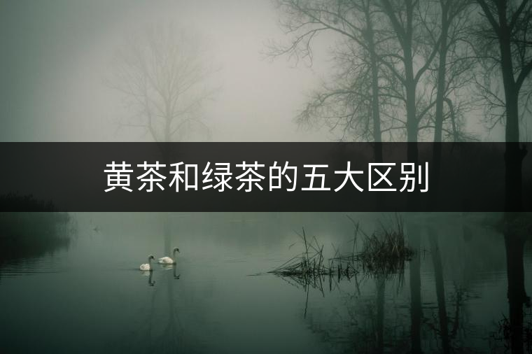 黃茶和綠茶的五大區(qū)別 黃茶和綠茶的五大區(qū)別